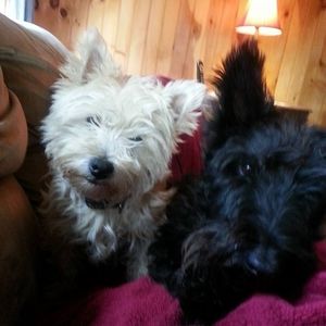 Meet your Posher, Rita